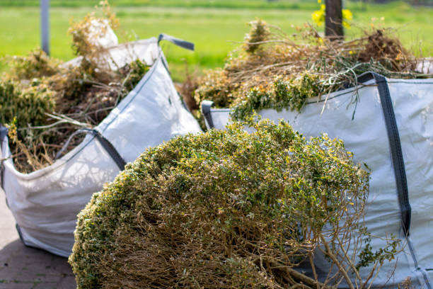 Basement Cleanout Services in Salt Lake City, UT